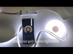 COB 스트립 라이트