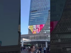 유연한 디스플레이